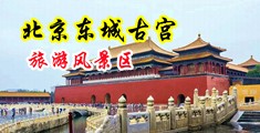 男生操女生白丝中国北京-东城古宫旅游风景区